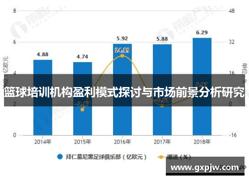 篮球培训机构盈利模式探讨与市场前景分析研究